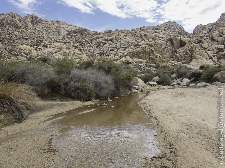 Joshua Tree National Park